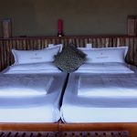 BEST PLACES TO GLAMP IN COLORADO