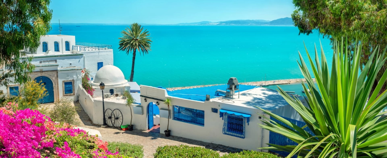 Budget Shores in Tunisia Affordable Mediterranean Beach Getaways