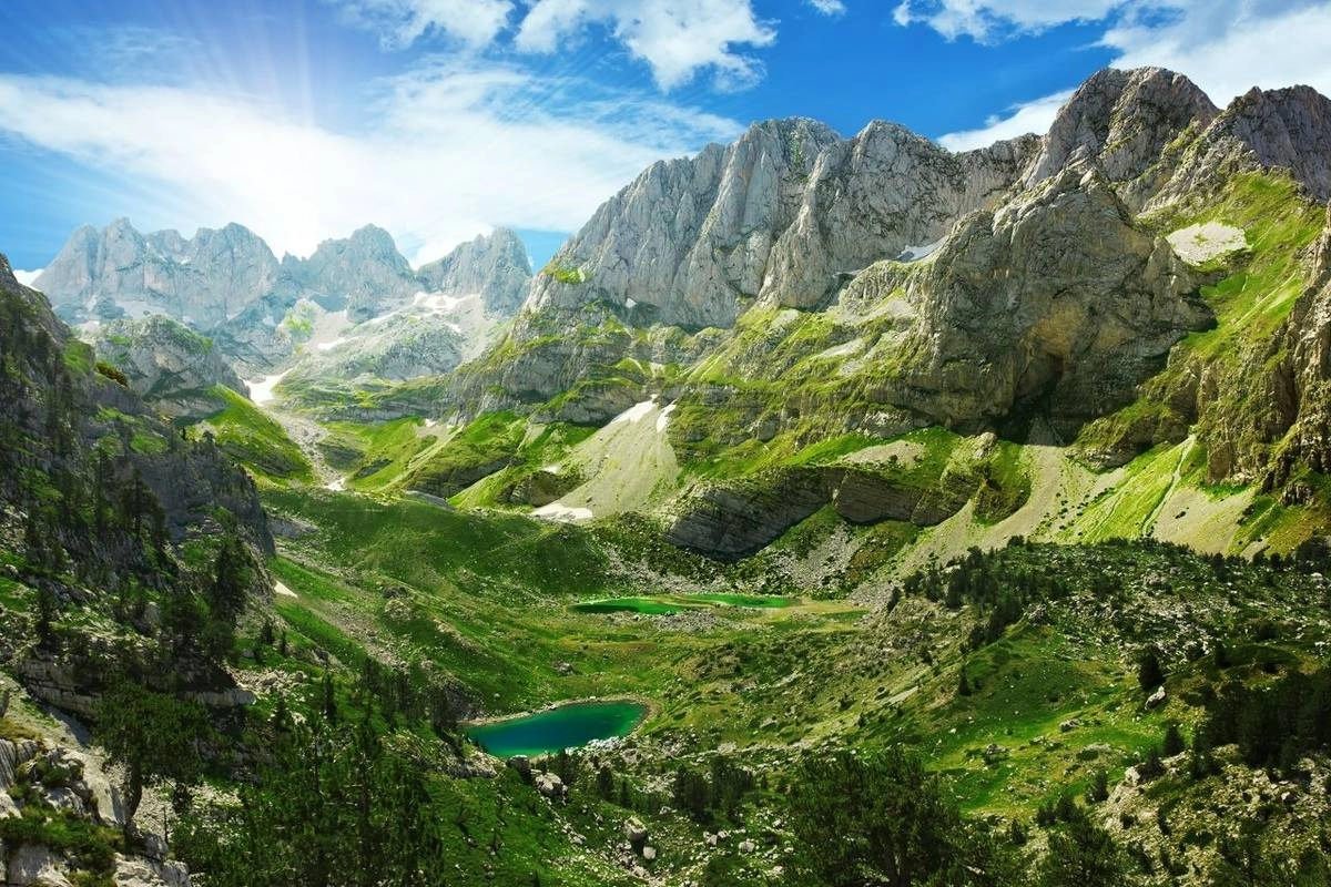 Wildlife Watching on Albanian Coasts Guide for Nature Lovers