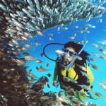 Ultimate Guide to Coral Reef Exploration in Australia for Travelers