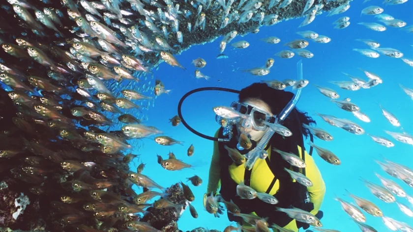 Ultimate Guide to Coral Reef Exploration in Australia for Travelers