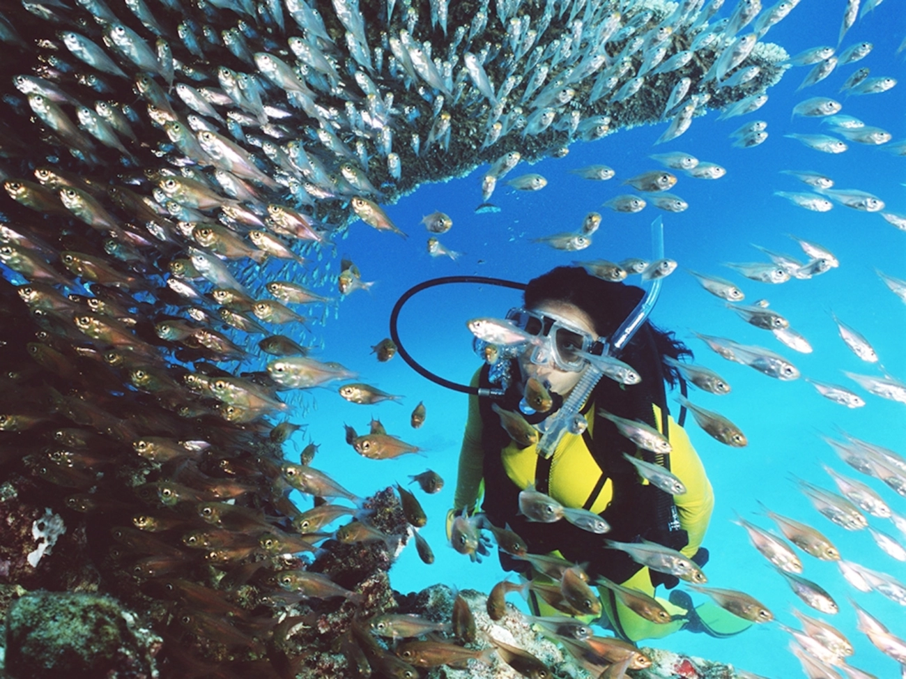 Ultimate Guide to Coral Reef Exploration in Australia for Travelers