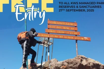 Top Wildlife Spots Along Kenyan Beaches for Marine and Coastal Safari Top Wildlife Spots Along Kenyan Beaches for Marine and Coastal Safari