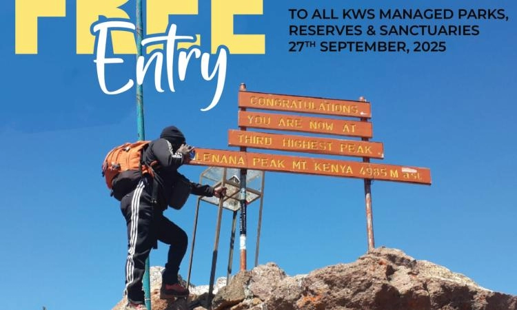 Top Wildlife Spots Along Kenyan Beaches for Marine and Coastal Safari Top Wildlife Spots Along Kenyan Beaches for Marine and Coastal Safari