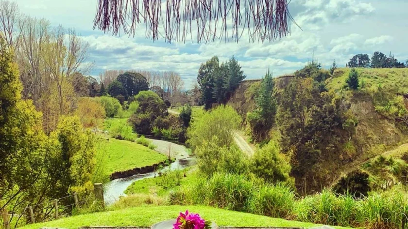 Island Hopping in New Zealand Complete Guide to Top Islands and Trips