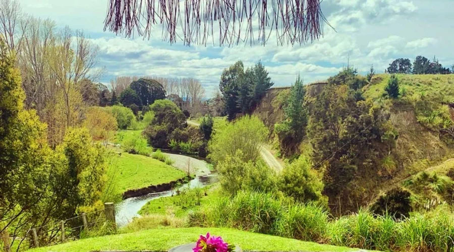 Island Hopping in New Zealand Complete Guide to Top Islands and Trips Island Hopping in New Zealand Complete Guide to Top Islands and Trips