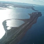 Explore Coastal Wonders of North American Lagoons Wildlife and Adventure