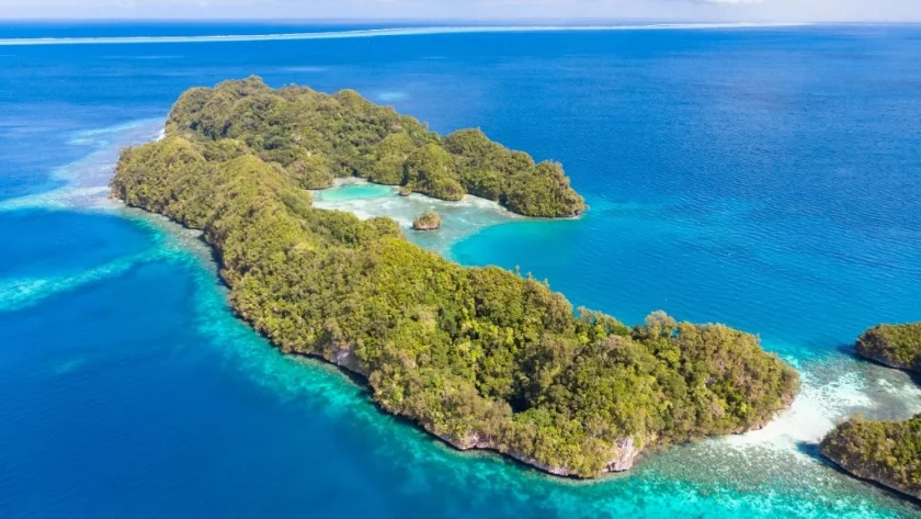 Top Water Sports in Palau Ultimate Guide to Diving Snorkeling and Kayaking