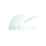 Wildlife Watching in Papua New Guinea Guide for Bird and Nature Lovers