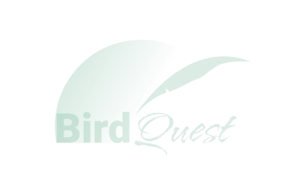 Wildlife Watching in Papua New Guinea Guide for Bird and Nature Lovers