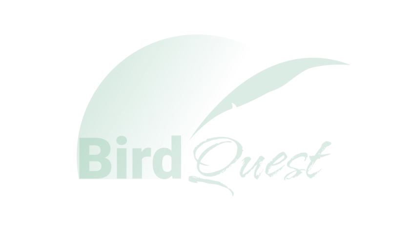 Wildlife Watching in Papua New Guinea Guide for Bird and Nature Lovers Wildlife Watching in Papua New Guinea Guide for Bird and Nature Lovers