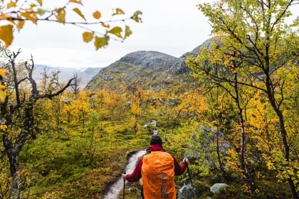 Best Coastal Walks in Scandinavia for Scenic Nordic Hiking Trails