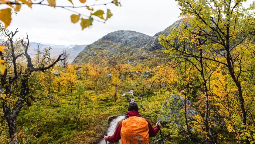 Best Coastal Walks in Scandinavia for Scenic Nordic Hiking Trails Best Coastal Walks in Scandinavia for Scenic Nordic Hiking Trails