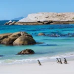 Safari Beaches in South Africa Guide for Ultimate Bush and Beach Trips