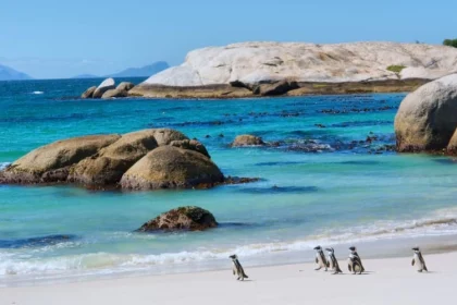 Safari Beaches in South Africa Guide for Ultimate Bush and Beach Trips