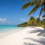 A Softer Way To Plan Zanzibar Beach Days
