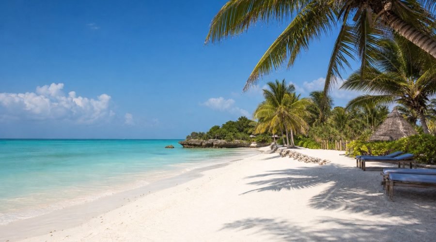 A Softer Way To Plan Zanzibar Beach Days A Softer Way To Plan Zanzibar Beach Days