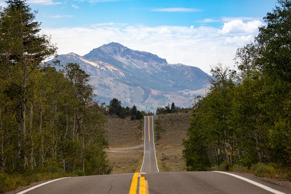 Beautifully layered road leading to majestic mountains under a clear sky.