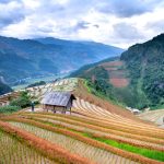 Best Time to Visit Japan: A Data-Driven Month-by-Month Breakdown