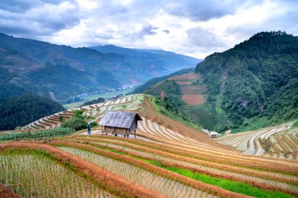 Best Time to Visit Japan: A Data-Driven Month-by-Month Breakdown
