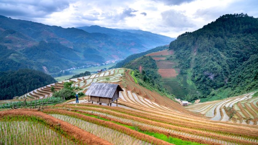 Best Time to Visit Japan: A Data-Driven Month-by-Month Breakdown
