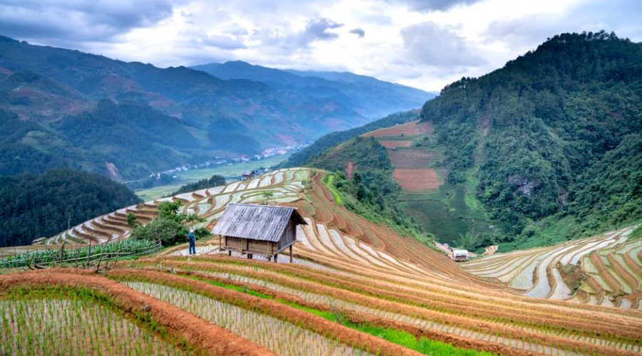 Best Time to Visit Japan: A Data-Driven Month-by-Month Breakdown Best Time to Visit Japan: A Data-Driven Month-by-Month Breakdown