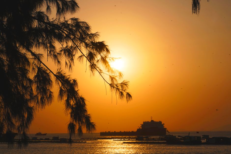 Serene sunset by the ocean with a silhouetted pier and branches against a golden sky.