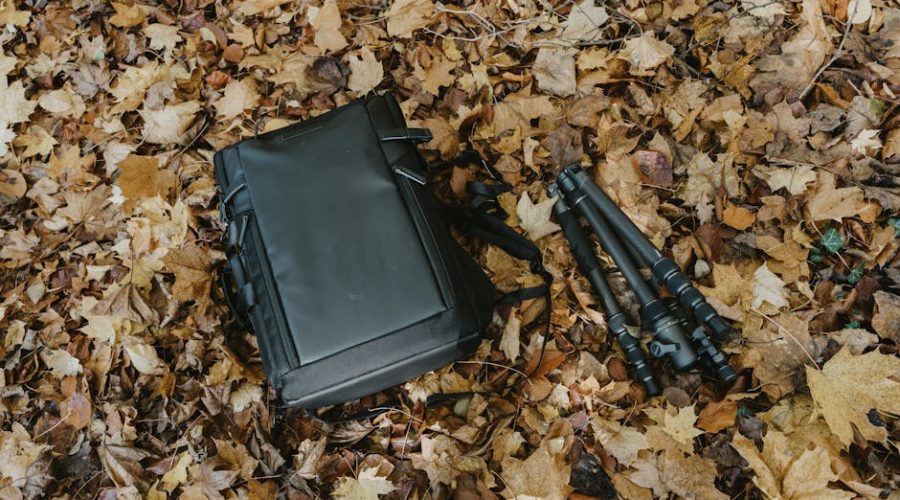 Budget Travel Tripods: What Actually Works Under 0