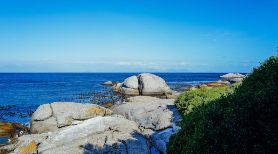 Cheap Flights Cape Town to Durban 2024: Best Airlines and Booking Strategies Cheap Flights Cape Town to Durban 2024: Best Airlines and Booking Strategies