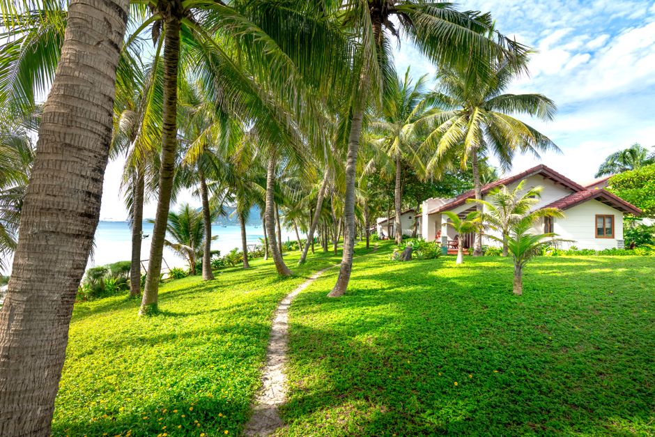 Lush tropical resort featuring palm trees and ocean view with a clear pathway leading to charming houses.