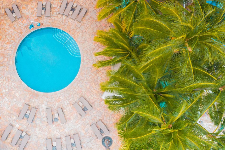 Stunning aerial shot of a circular pool surrounded by palm trees and sunbeds.