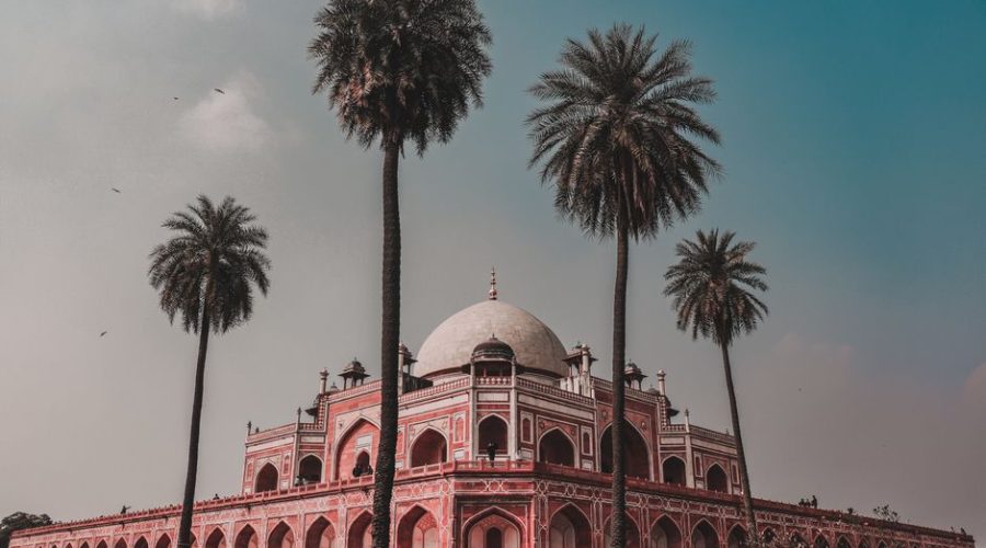 India E-Visa Application Guide: India e-Visa Guide: Step-by-Step Process and Costly Mistakes to Avoid