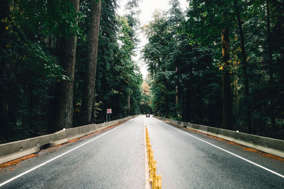 Lush forest road in Tofino, British Columbia, perfect for nature adventures and road trips.