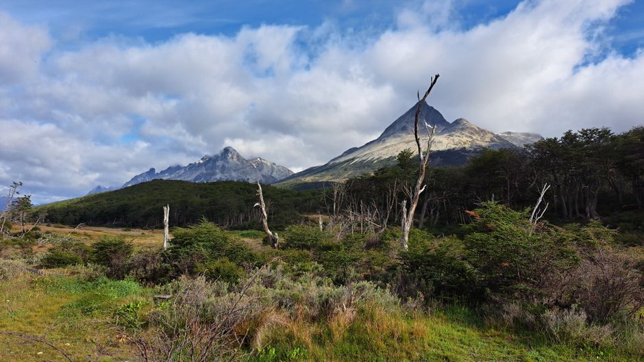 Breathtaking view of mountainous terrain and lush forest in Tierra del Fuego, Argentina.