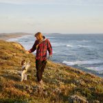 Pet-Friendly Accommodations Road Trips Usa: How to Find Pet-Friendly Accommodations for Road Trips Across the USA