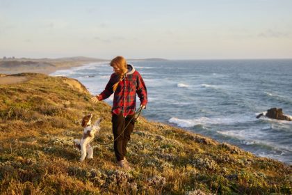 Pet-Friendly Accommodations Road Trips Usa: How to Find Pet-Friendly Accommodations for Road Trips Across the USA