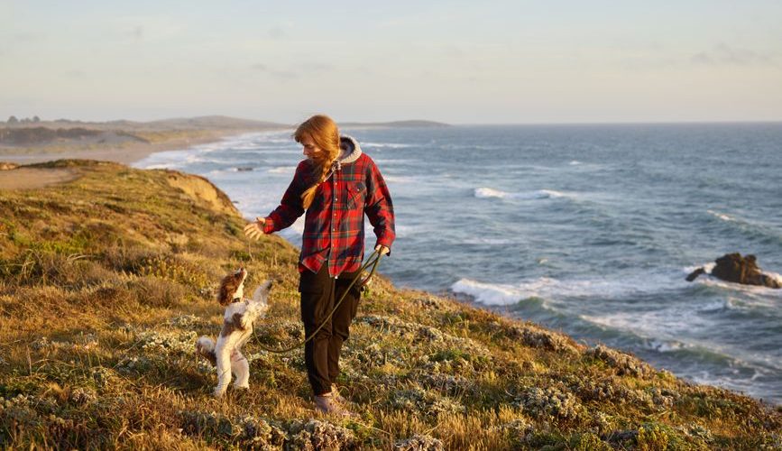 Pet-Friendly Accommodations Road Trips Usa: How to Find Pet-Friendly Accommodations for Road Trips Across the USA Pet-Friendly Accommodations Road Trips Usa: How to Find Pet-Friendly Accommodations for Road Trips Across the USA