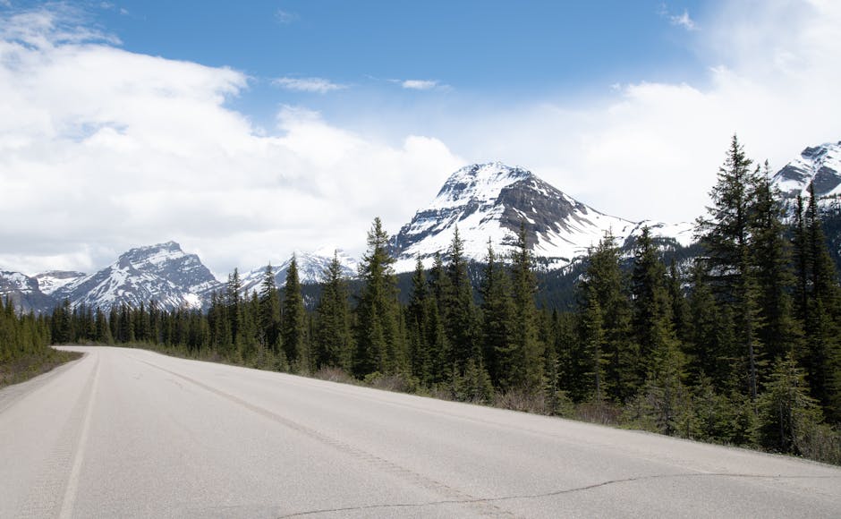 A picturesque road leading through snow-capped mountains under a blue sky, surrounded by evergreens.
