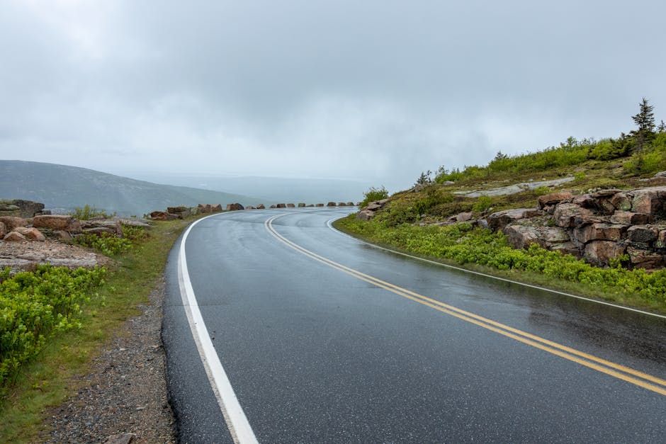 Curving wet road through lush greenery and rocky landscape under cloudy sky in Bar Harbor, Maine.