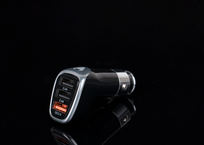 Travel Adapter Usb-C Pd: Travel Adapters for Global Adventures: USB-C & PD Explained Plainly