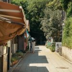 Travel Tips Okinawa: Okinawa Travel Tips: The 3 Mistakes That Ruin Most Island Trips